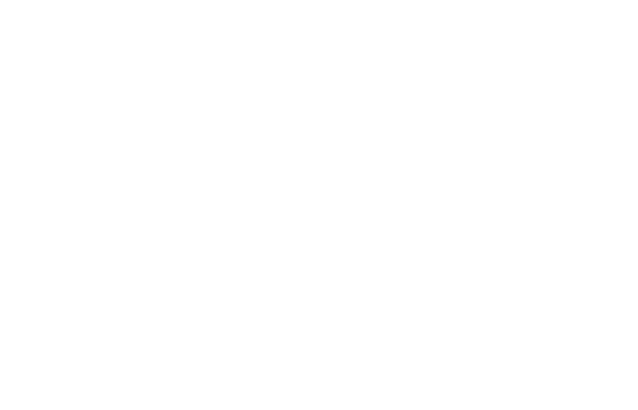 logo du site web représentant les lettres T et S